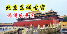 男人粗鸡吧日女人肥逼中国北京-东城古宫旅游风景区